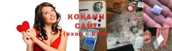 шишки Богородск