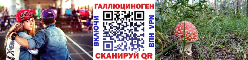 Галлюциногенные грибы мицелий  маркетплейс какой сайт  Чудово 